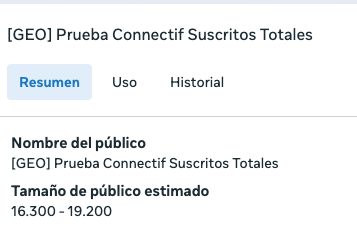 ejemplo union meta ads connectif