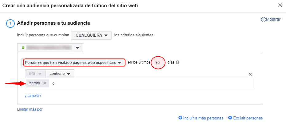 audiencia carrito facebook