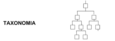 Taxonomy of a website