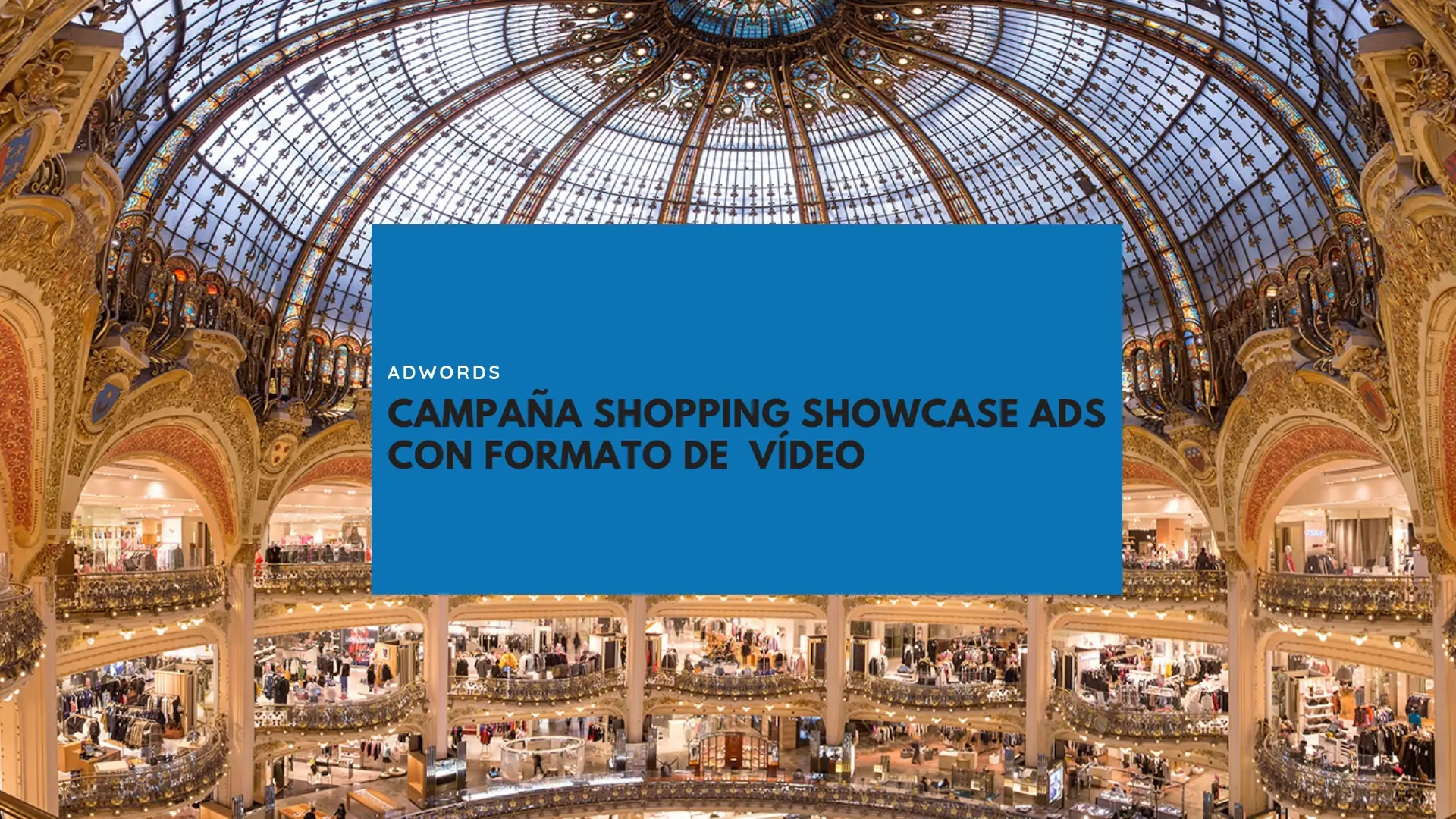 Llegan las Campañas Shopping Showcase Ads con Formato de Vídeo