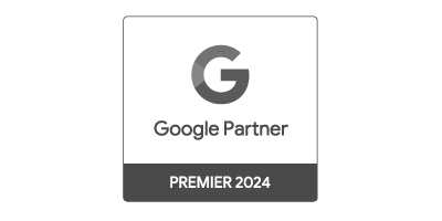 google partner 2024 geo
